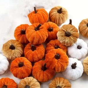 WIN A PUMPKIN- WIN THAT SPOT- REVEAL ONCE ALL SPOTS ARE FILLED!